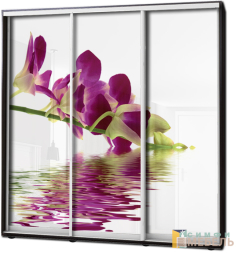 Шкаф купе 3х дв Фотопечать № 3