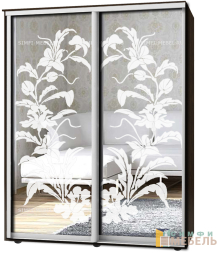 Шкаф-купе 2х дв Стандарт Пескоструй № 7