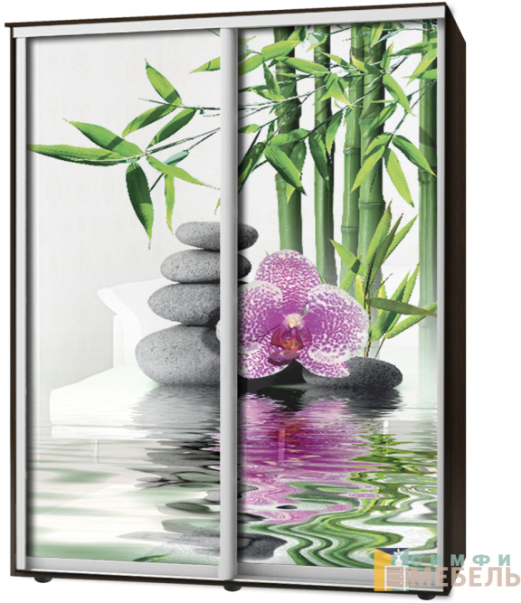 Шкаф-купе 2х дв Стандарт Фотопечать № 133