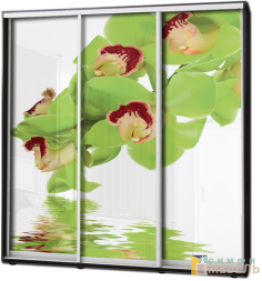 Шкаф купе 3х дв Фотопечать № 4