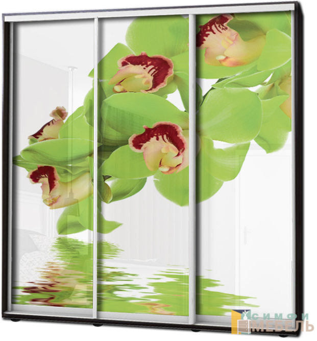 Шкаф купе 3х дв Фотопечать № 4
