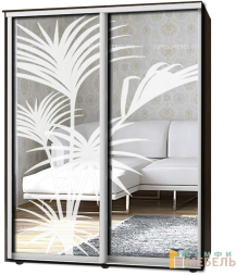 Шкаф-купе 2х дв Стандарт Пескоструй № 8