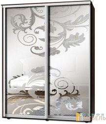 Шкаф-купе 2х дв Стандарт Пескоструй фон матовый № 43