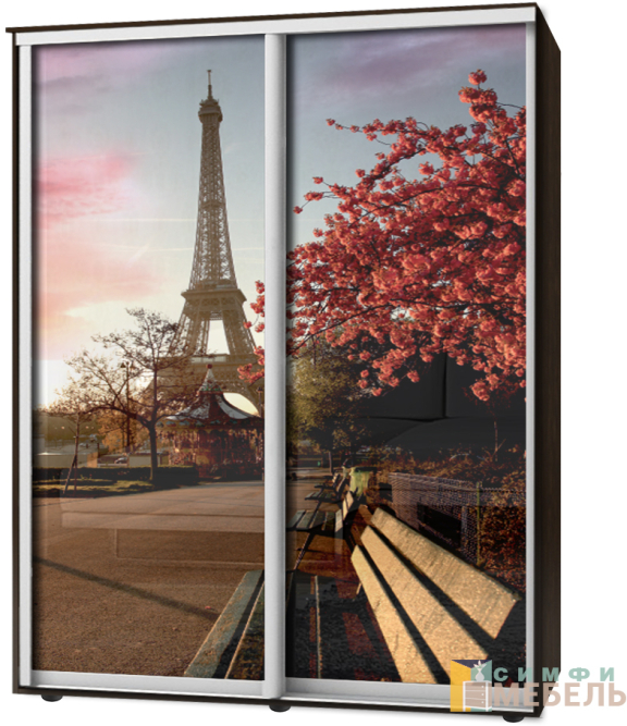 Шкаф-купе 2х дв Стандарт Фотопечать № 34