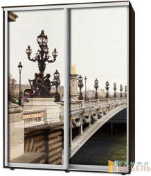 Шкаф-купе 2х дв Стандарт Фотопечать № 134