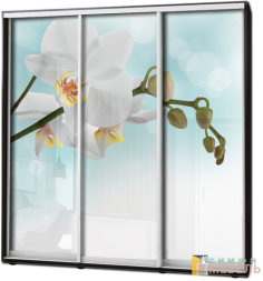 Шкаф купе 3х дв Фотопечать № 5