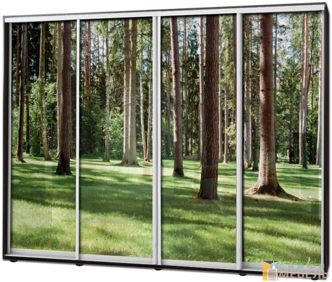 Шкаф купе 4х дв Фотопечать № 26