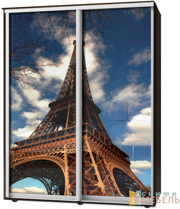 Шкаф-купе 2х дв Стандарт Фотопечать № 35