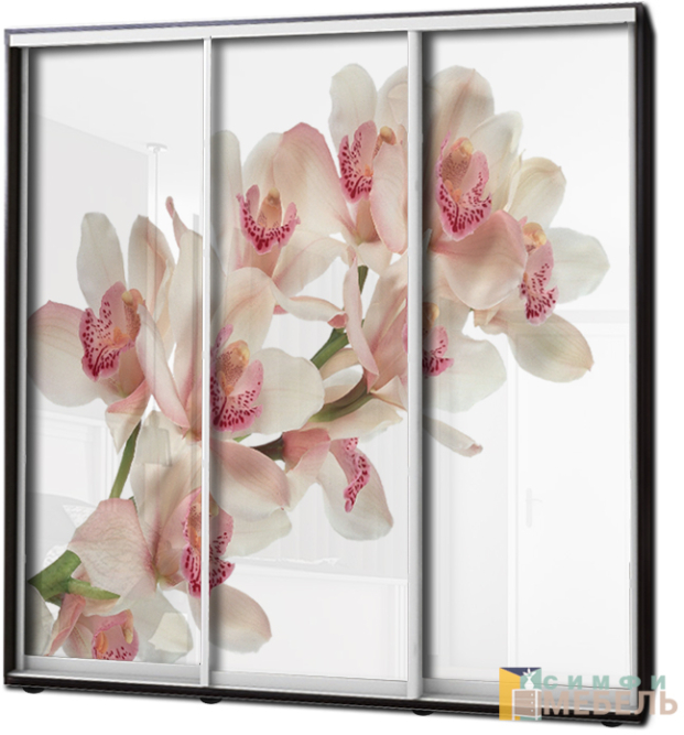 Шкаф купе 3х дв Фотопечать № 6