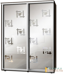 Шкаф-купе 2х дв Стандарт Пескоструй фон матовый № 45