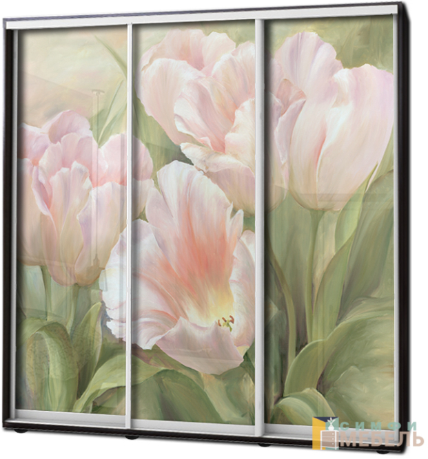 Шкаф купе 3х дв Фотопечать № 7