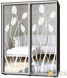 Шкаф-купе 2х дв Стандарт Пескоструй № 11