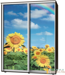 Шкаф-купе 2х дв Стандарт Фотопечать № 137