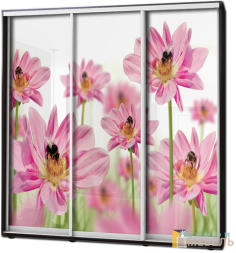 Шкаф купе 3х дв Фотопечать № 8