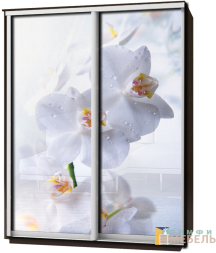 Шкаф-купе 2х дв ПРОМО Фотопечать Орхидея