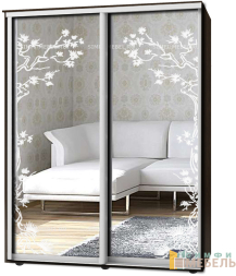 Шкаф-купе 2х дв Стандарт Пескоструй № 12