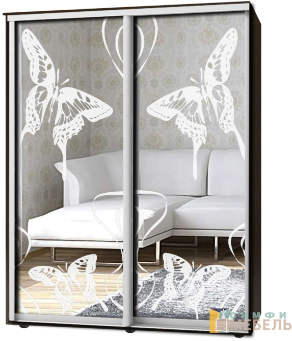 Шкаф-купе 2х дв Стандарт Пескоструй № 1+1