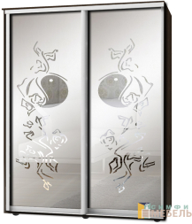 Шкаф-купе 2х дв Стандарт Пескоструй фон матовый № 47