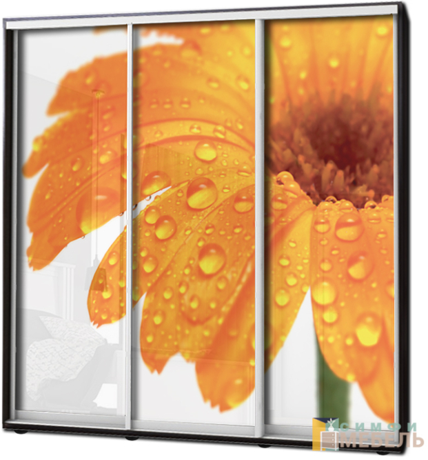 Шкаф купе 3х дв Фотопечать № 9