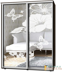 Шкаф-купе 2х дв Стандарт Пескоструй № 13