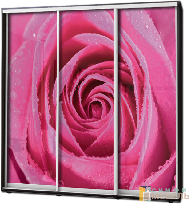 Шкаф купе 3х дв Фотопечать № 10