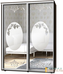 Шкаф-купе 2х дв Стандарт Пескоструй фон матовый № 49