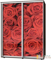 Шкаф-купе 2х дв Стандарт Фотопечать № 140