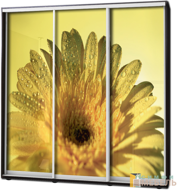 Шкаф купе 3х дв Фотопечать № 11