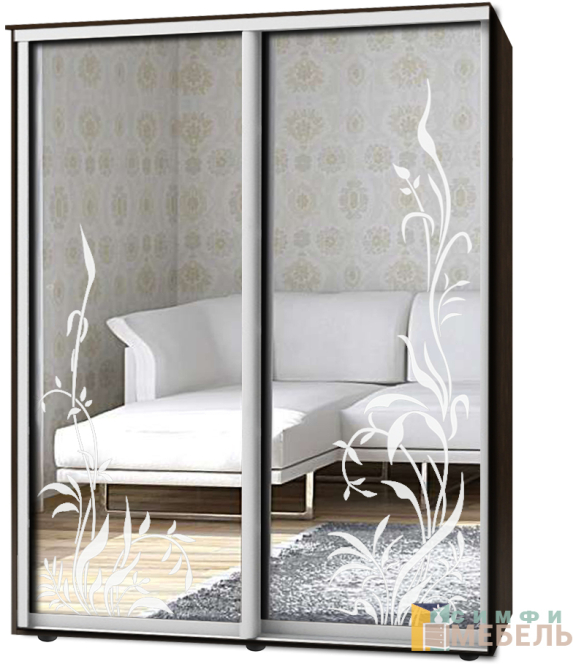 Шкаф-купе 2х дв Стандарт Пескоструй № 15