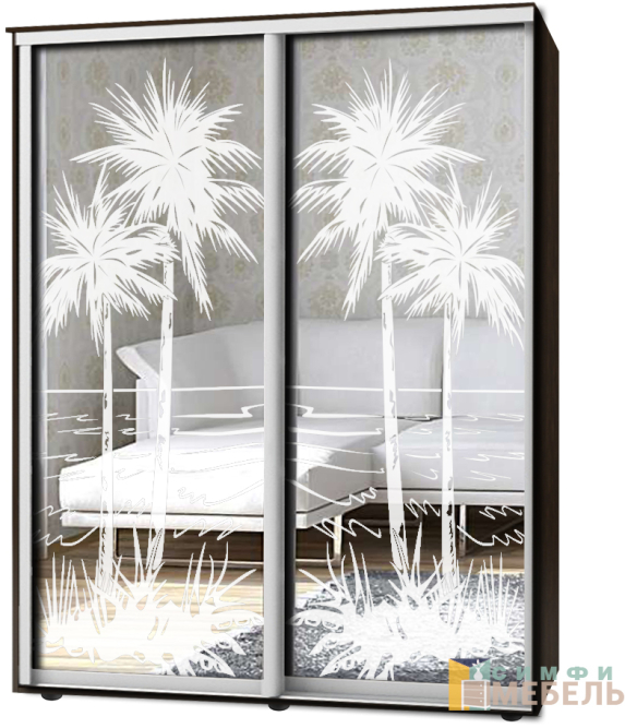 Шкаф-купе 2х дв Стандарт Пескоструй № 6+6