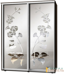 Шкаф-купе 2х дв Стандарт Пескоструй фон матовый № 51