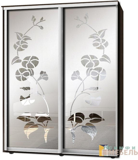 Шкаф-купе 2х дв Стандарт Пескоструй фон матовый № 51