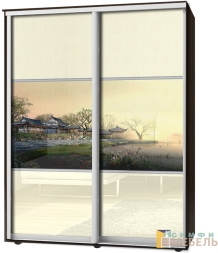 Шкаф-купе 2х дв Стандарт Фотопечать № 42
