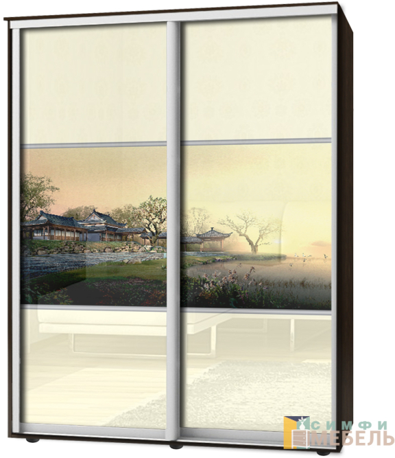 Шкаф-купе 2х дв Стандарт Фотопечать № 42