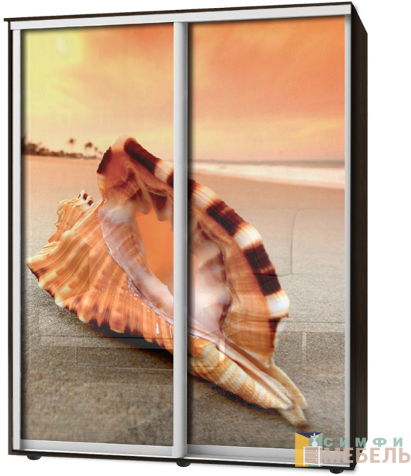Шкаф-купе 2х дв Стандарт Фотопечать № 142
