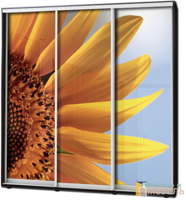 Шкаф купе 3х дв Фотопечать № 13