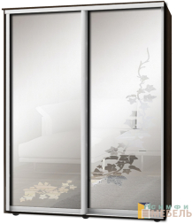 Шкаф-купе 2х дв Стандарт Пескоструй фон матовый № 52