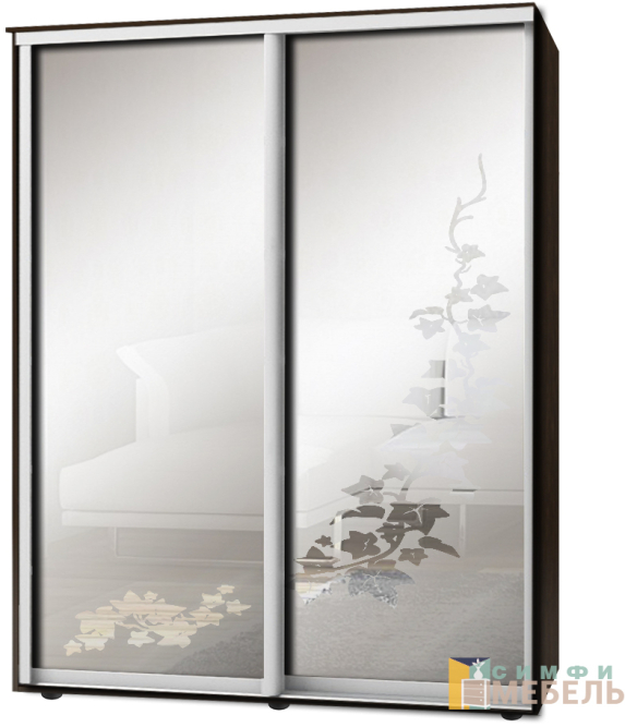 Шкаф-купе 2х дв Стандарт Пескоструй фон матовый № 52