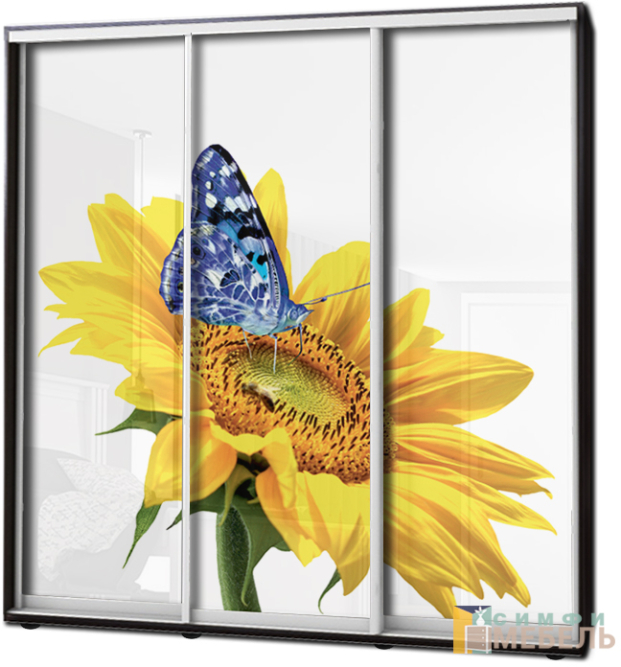 Шкаф купе 3х дв Фотопечать № 14