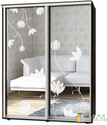 Шкаф-купе 2х дв Стандарт Пескоструй № 18