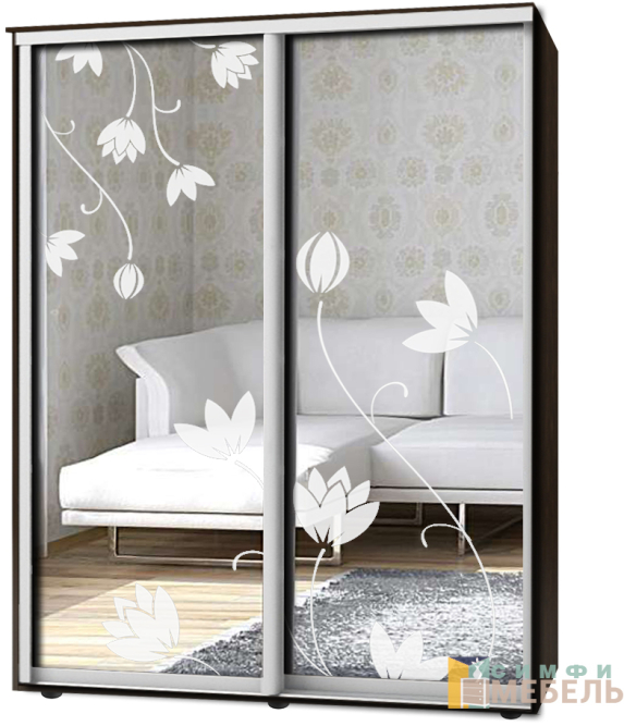 Шкаф-купе 2х дв Стандарт Пескоструй № 18