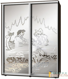 Шкаф-купе 2х дв Стандарт Пескоструй фон матовый № 53