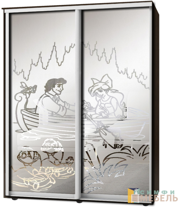 Шкаф-купе 2х дв Стандарт Пескоструй фон матовый № 53
