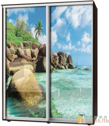 Шкаф-купе 2х дв Стандарт Фотопечать № 44