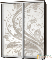 Шкаф-купе 2х дв Стандарт Фотопечать № 144