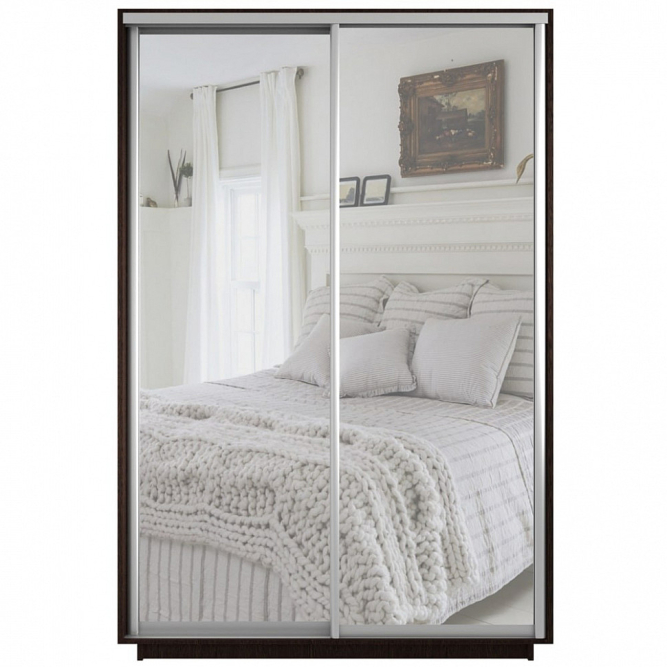 Шкаф-купе Экспресс 2-х дверный ( Зеркало) Венге