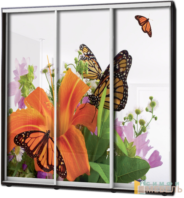 Шкаф купе 3х дв Фотопечать № 15