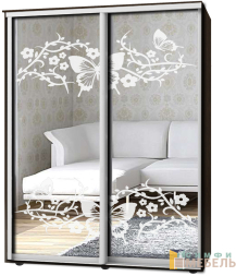 Шкаф-купе 2х дв Стандарт Пескоструй № 19