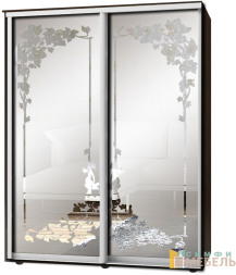 Шкаф-купе 2х дв Стандарт Пескоструй фон матовый № 54