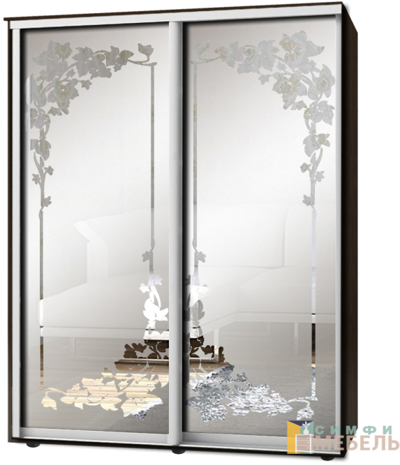 Шкаф-купе 2х дв Стандарт Пескоструй фон матовый № 54